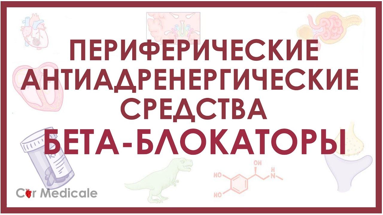 Бета-адреноблокаторы - препараты, механизм действия, показания, побочные эффекты смотреть онлайн
