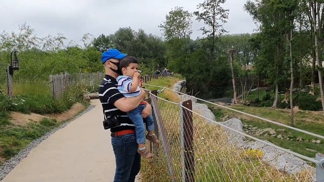 VLOG #38 / 🐅🦁Բելգիայի կենդանաբանական այգին PAIRI DAIZA / Зоопарк в Бельгии / BELGIAN ZOO #PAIRIDAIZ смотреть онлайн