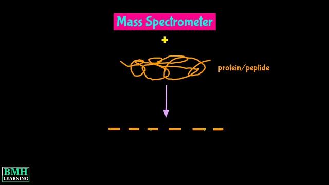 De Novo Peptide Sequencing | Tandem Mass Spectrometry Protein Sequencing | смотреть онлайн