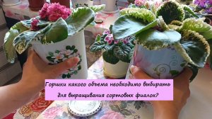 Горшки какого объема необходимо выбирать для выращивания сортовых фиалок?!