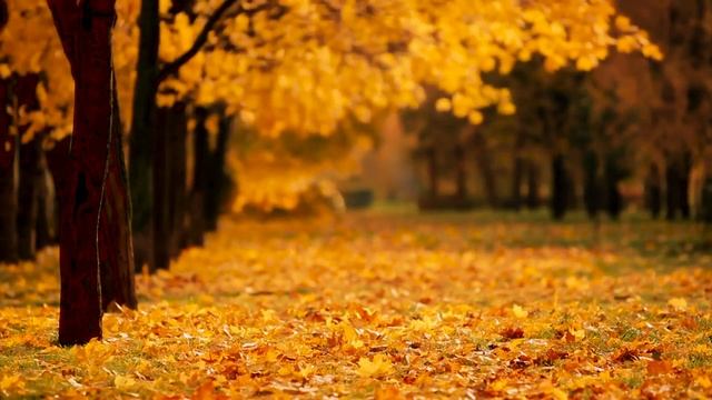 Relaxing Bilateral Music Therapy Session For Anxiety, Stress Relief, PTSD | Brainspotting, EMDR