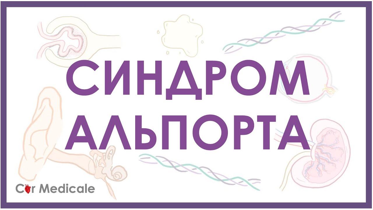 Синдром Альпорта - механизм развития, причины, клинические проявления смотреть онлайн