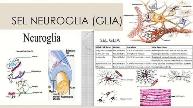 1.SISTEM KOORDINASI смотреть онлайн