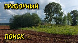 Приборный поиск на распаханном урочище 2024