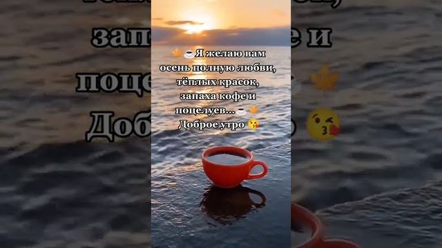 На любовь своё сердце настрой ❤️🍁 смотреть онлайн