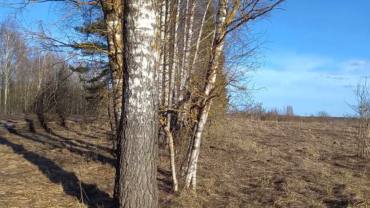 Поля для борщевика смотреть онлайн