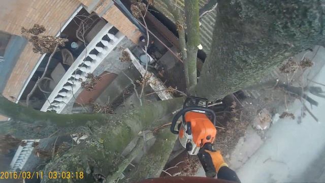 спил сложных деревев и любой высоты звоните 0631726775 смотреть онлайн