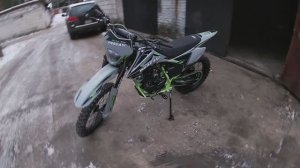 Мини обзор PROGASSI PALMA 300