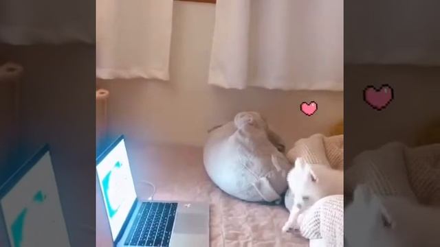 Eunni watching duck sounds~~^_^☺️💞💞 смотреть онлайн