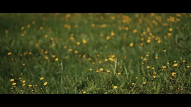 ЛЕТНИЙ ВАЙБ #rap #начиле @ChistyKaif смотреть онлайн