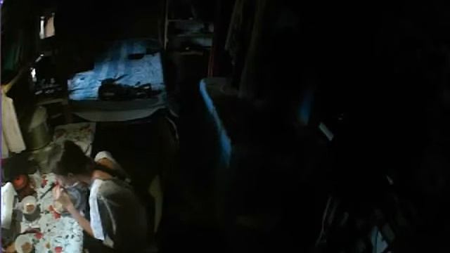 Заготовка ореха. (Приморье) смотреть онлайн
