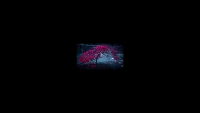 Ярослава (Yaroslava) - Почему (Official Audio) 2016 смотреть онлайн
