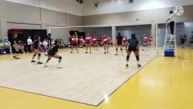 (SHEMALE LEAGUE)  IEM FEMMES VS PANTHERS