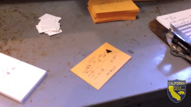 Coho and Fall-Run Chinook Spawning at Iron Gate Hatchery смотреть онлайн