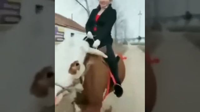 Корова скакун смотреть онлайн