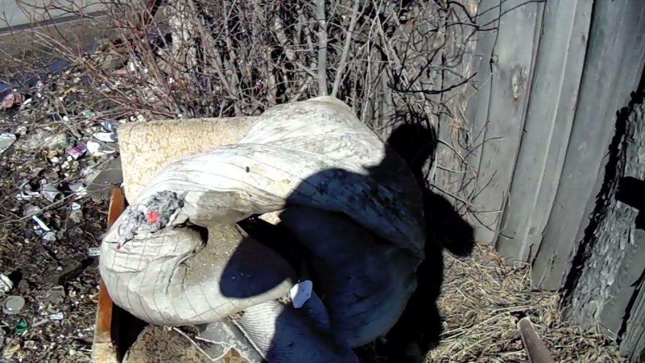 Мусорная реформа в Забайкалье смотреть онлайн