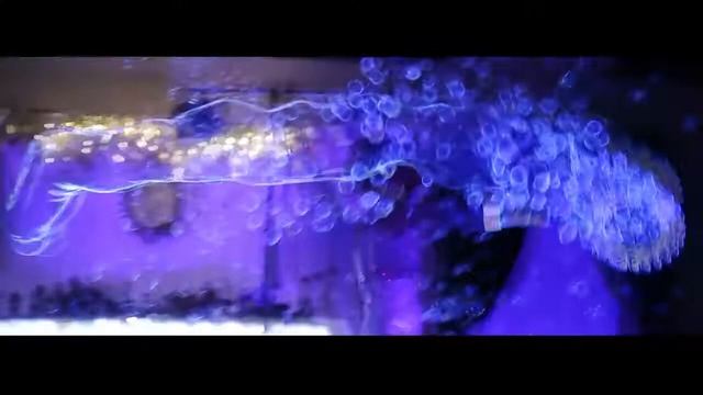 Шура Алесинский - Горько смотреть онлайн