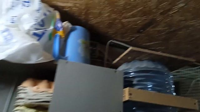 Первый снег и птицы. смотреть онлайн