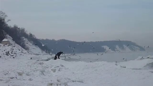 Светлогорск. Балтийское море. смотреть онлайн