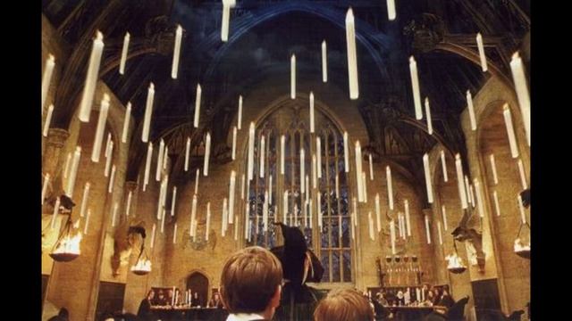 Hagerty High School "Alma Mater" An Anaconda remix смотреть онлайн