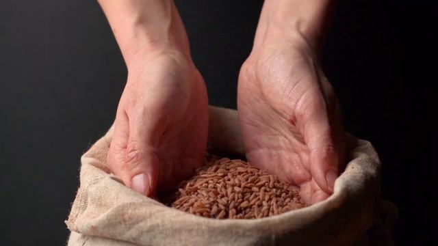 Узгенский плов смотреть онлайн