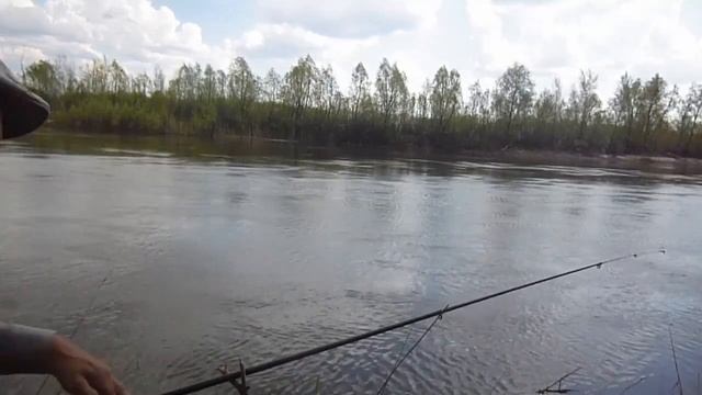 на медведеце смотреть онлайн