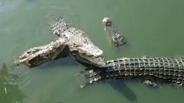 MOV00730 смотреть онлайн