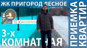 Приемка квартиры в ЖК Пригород Лесное | 3-комн. квартира | Помощь в приемке квартир