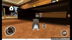 Kitten cat simulator 3D 1.6.2 версия (2019)