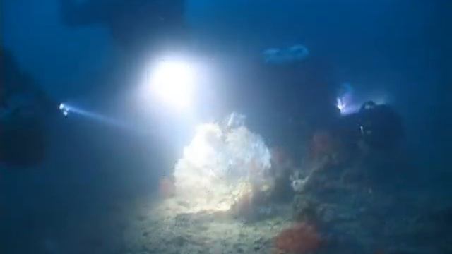Cercando la Gerardia Savaglia - Portofino смотреть онлайн