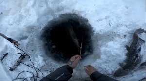 25. Зимняя рыбалка на Енисее. Первая проверка нового перемёта на налима. 09.12.2022