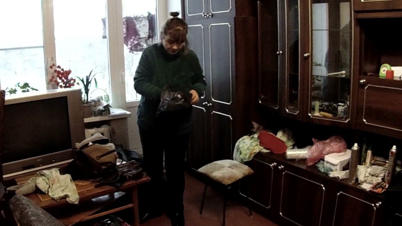 Купили в Сланцах квартиру смотреть онлайн