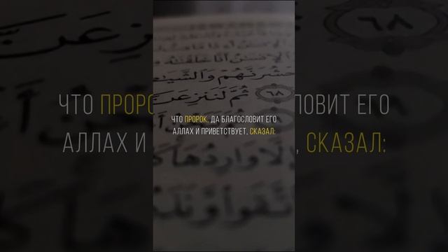 Ангелы не заходят в дом где есть собака или изображение смотреть онлайн