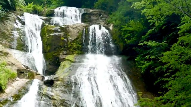 DADAXON XASANOV  Jannat Ekan Quchoqlaring