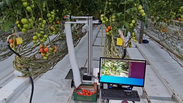 Выставка робот прототип