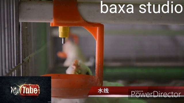 Broyler Boqish Sirlari Texnalogiyalari - бройлер бокиш