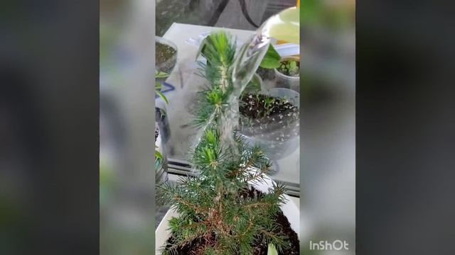 Чудеса религиозные и личные.