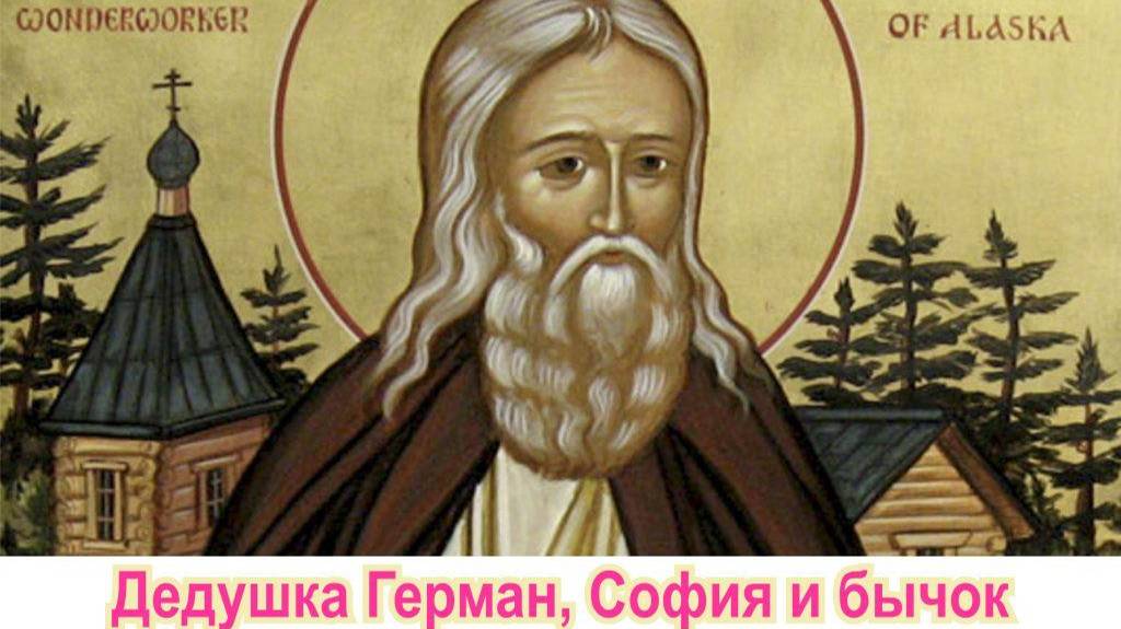 Дедушка Герман, София и бычок