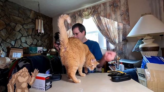 Canon Speedlite 220EX