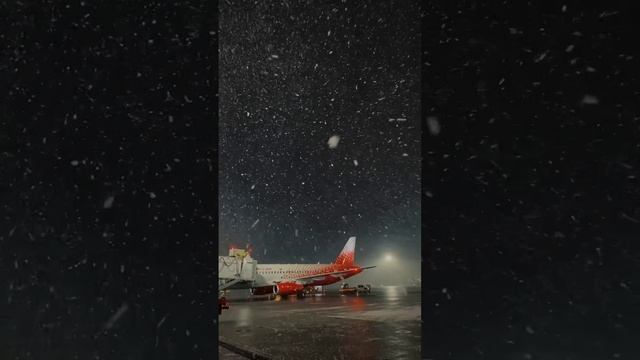 Ночная романтика! смотреть онлайн