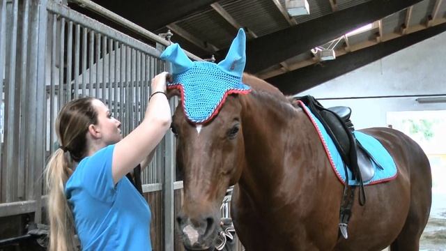 Produkttest: Equiva 4HORSES Talentkollektion смотреть онлайн