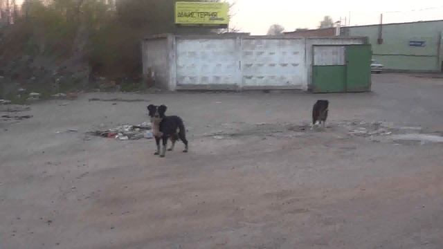 Скушали и облизались смотреть онлайн