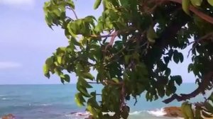 Аллилуйя. Детские Христианские Песни