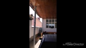 Hatsan striker alpha охота на голубчиков