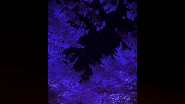 грустные песни для грустных людей 💔 смотреть онлайн