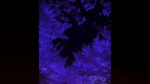 грустные песни для грустных людей 💔