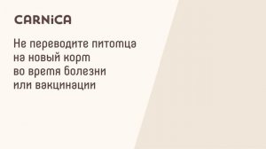 Корм сухой Carnica