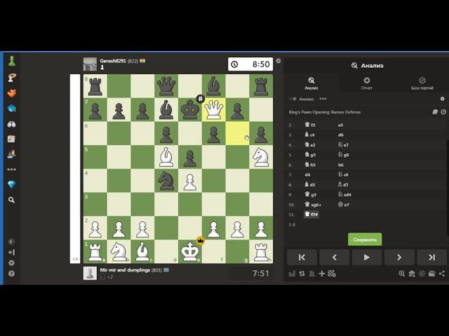 Chess #40 Beautiful Checkmate