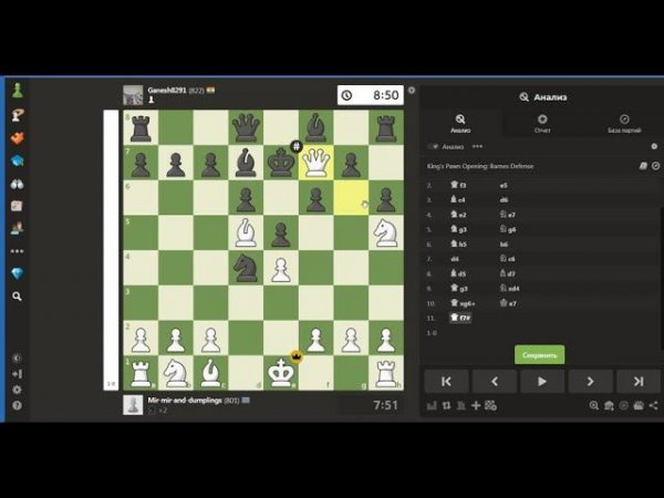 Chess #40 Beautiful checkmate