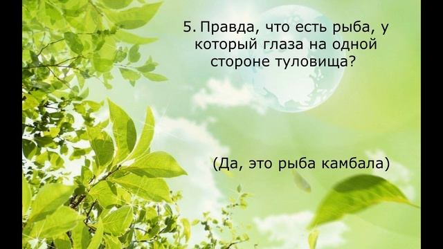 Соседи по планете смотреть онлайн